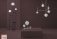 moon collection